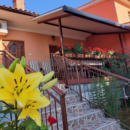 לאבין Apartman Branka מראה חיצוני תמונה