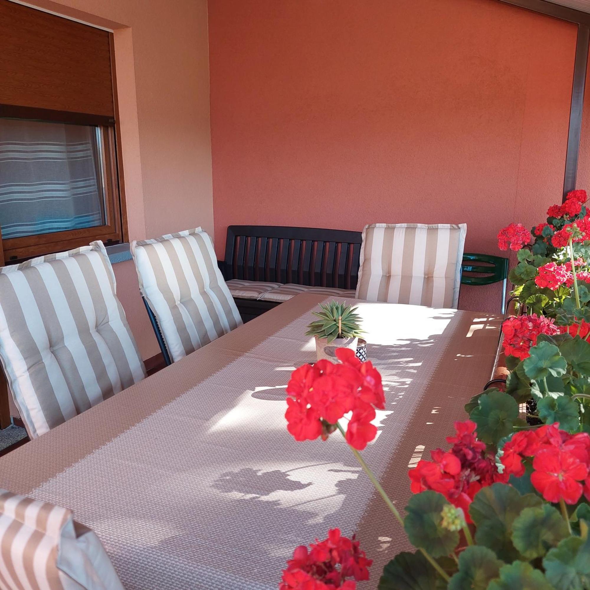 לאבין Apartman Branka מראה חיצוני תמונה